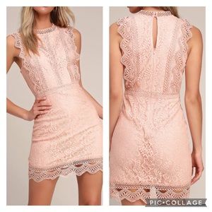 Lulus Sweetheart Blush Pink Lace Dress XL NWT